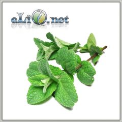 Мята (eliq.net)