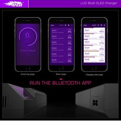 Efest LUC BLU6 OLED/ Интеллектуальное шестислотовое зарядное устройство c Bluetooth.