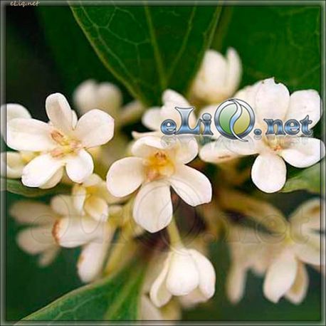 Sweet Osmanthus / Османтус - ароматизатор для самозамеса. HC
