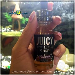 30 мл Juicy Ohms - OHMuffin - Премиальные жидкости из США.