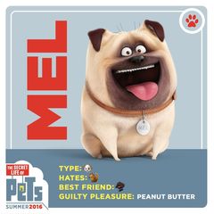 Мопс Мел. Тайная жизнь домашних животных. Мягкая игрушка. The Secret Life of Pets. Mel