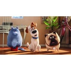 Макс. Тайная жизнь домашних животных. Мягкая игрушка. The Secret Life of Pets. Max.