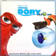 Говорящая плющевая рыбка Дори. Dory Action Figure - В поисках Дори  (Disney)