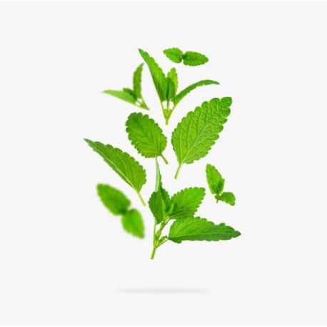 Spearmint (eliq.net)