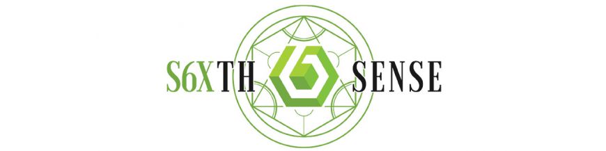S6XTH Sense - компания, выпускающая боксмоды с интересным дизайном!